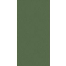 Плитка настенная Altacera Bamboo Luster Verde WT9LST24  249х500