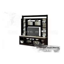 Модули БТС Фиеста Центральная часть