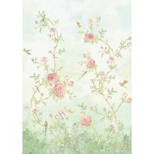 BN International Fiore BN 200457DX BN 200457DX