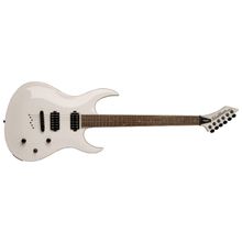 Washburn WM24