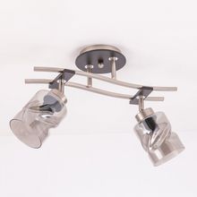 Citilux Спот Citilux Мерида CL142125 ID - 384760