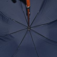 Мужская трость синяя M-70-2