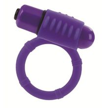 California Exotic Novelties Фиолетовое эрекционнное кольцо с двумя положениями вибростимулятора
