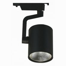 Arte Lamp A2320PL-1BK