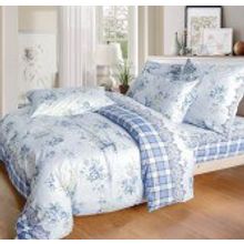 Постельное белье Поплин 2,0 cпальное СайлиД А172 2-2