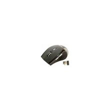 Мышь Chicony MS-6580W USB, черный