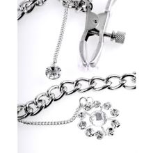 Зажимы на соски Crystal Nipple Clamps (31461)