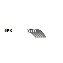 Ремень Поликлиновый Gates арт. 5PK493