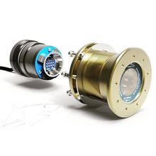 Foresti & Suardi Cветильник подводный Bluefin Led Foresti & Suardi Maco 24 В 70 Вт синий свет