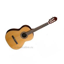 CORT CORT AC50-SG