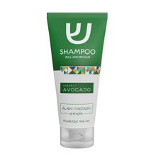 Шампунь для тусклых волос Израильский Авокадо Alan Hadash Israeli Avocado Shampoo 200мл