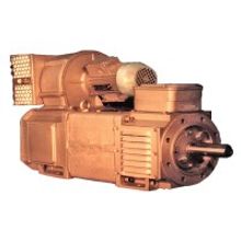 Электродвигатель 4ПФ160L