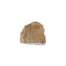 Акустическая система Niles RS6 sandstone (FG01028)