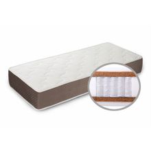 Basis 3 Ortofoam 3 multi | Wilordy.ru