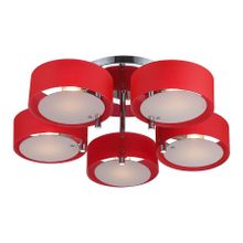 Светильник потолочный ST Luce Foresta SL483.602.05