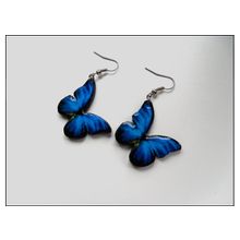 Серьги "тропические бабочки"