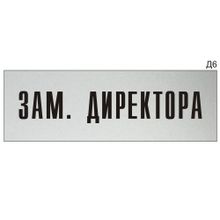 Информационная табличка «Зам.директора» на дверь прямоугольная Д6 (300х100 мм)
