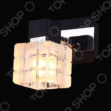 Natali Kovaltseva 10708 1W Wenge