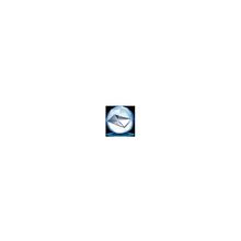 AVG Email Server Edition 2013 15 mailboxes (2 years) (sales number)