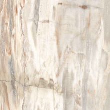 Arcana Marble Fossil-R 59.3x59.3 см