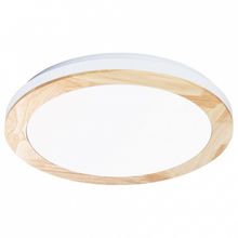 Arte Lamp Накладной светильник Arte Lamp Luce A2685PL-72WH ID - 486632