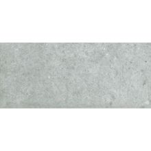 Керамическая плитка Halcon Ceramicas Pax Gris настенная 24,2х68,5