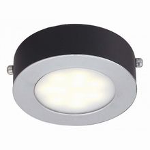 Favourite Lustige 1725-1C Lustige 1725-1C