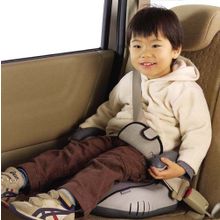 Ailebebe (Carmate) Safety Pad