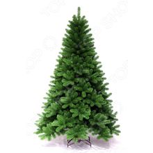 Forest Market Holiday Special Pine