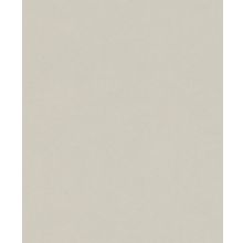 Обои виниловые Rasch Passepartout 606331