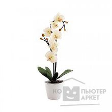 Старт Светильник  LED Орхидея2 белый