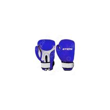 Перчатки боксерские ATEMI 02-005B сине-белые