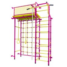 ДСК"Пионер 10СМ" пурпурно жёлтый