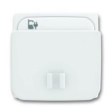 ABB Лицевая панель ABB Basic55 блока питания micro USB альпийский белый 2CKA006400A0011 ID - 88061