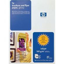 hewlett packard (hp professional glossy inkjet paper-50 sht a3 297 x 420 mm) c6821a