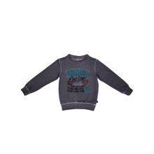 SweetBerry Толстовка трикотажная для мальчиков 206311