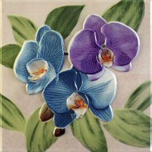 Керамическая плитка Fabresa Orquideas Placa Decor Malva декор 20х20