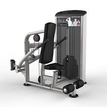 Трицепс, отжимания сидя, Aerofit IE9517