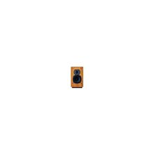 Quad 99 FM Tuner