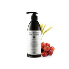 Шампунь лечебный от перхоти The Skin House Dr.Camucamu Hair Shampoo 400мл