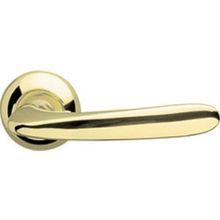 Ручка дверная Armadillo Pava LD42-1GP SG-5 Золото   золото матовое