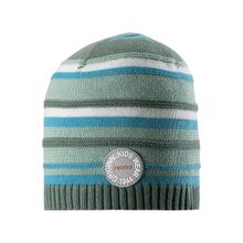 Reima Шапка-бини Niemi 528575 8831