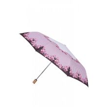 Зонт женский Fabretti 17106 L 2