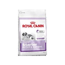 Royal Canin Giant starter (Роял Канин Джайнт Стартер) сухой корм для щенков