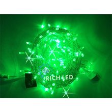 Rich LED RL-S10CF-24V-T G Уличная светодиодная гирлянда Нить 10 м, зеленый, мерцание, провод прозрачный