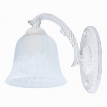 MW-Light Ариадна 16-17 450024701