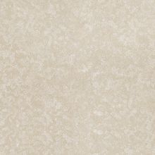 Обои виниловые Zambaiti Trussardi II 5504