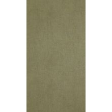 BN International Color Stories 218512 BN218512