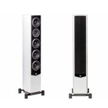 System Audio SA Pandion 50