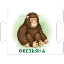 Робинс Логика Развивающая